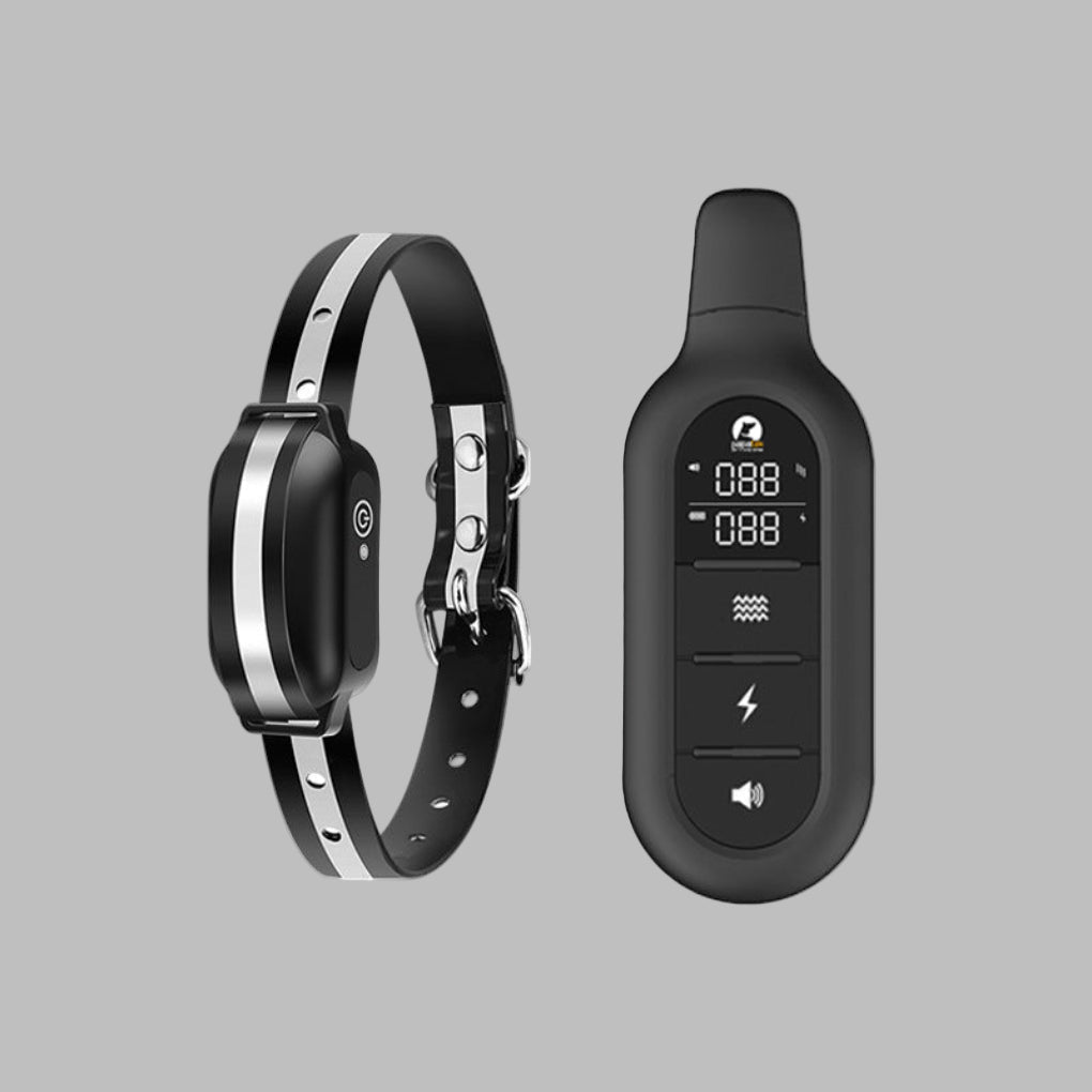 Davy | Long Range Waterproof Dog Training Collar