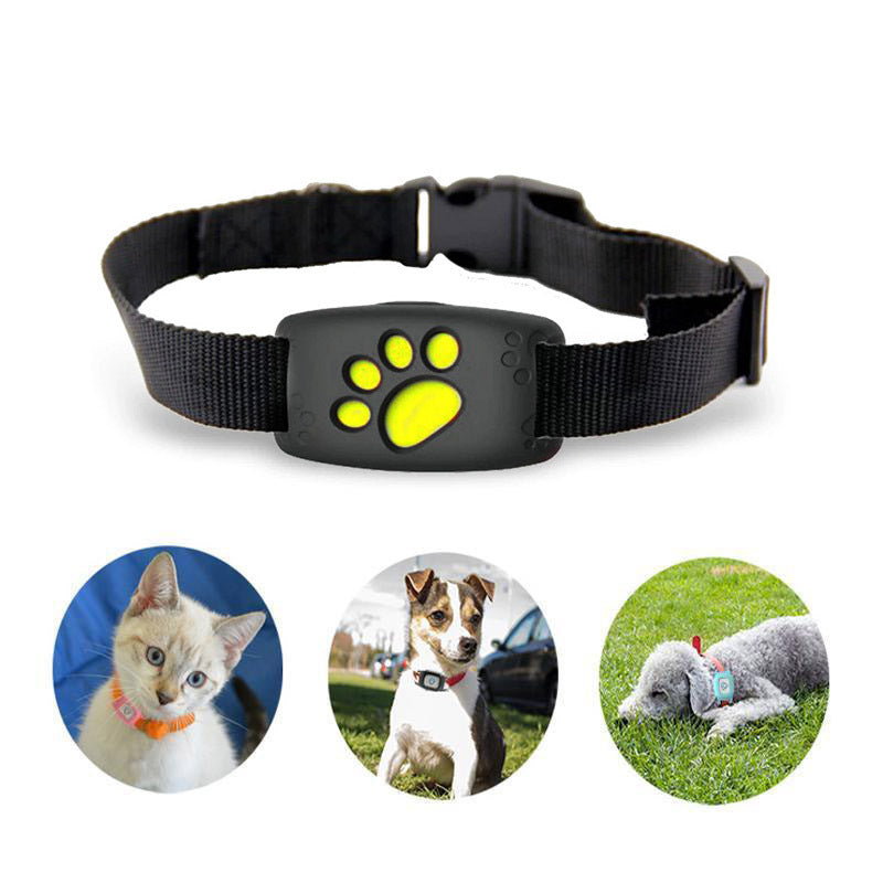 Davy | Slim GPS Cat Collar