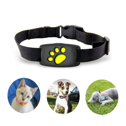 Davy | Slim GPS Cat Collar