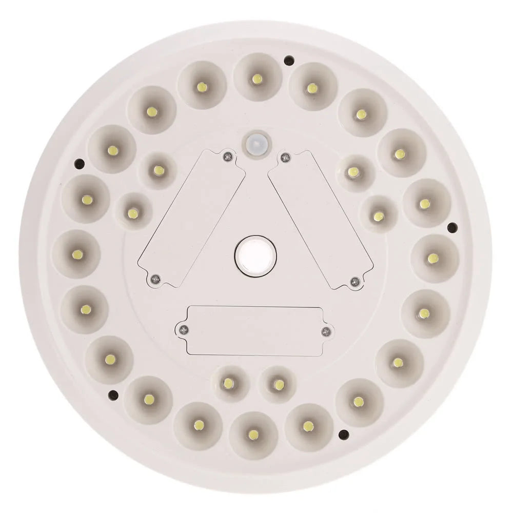 Davy | Solar Flagpole Light with 26 LEDs