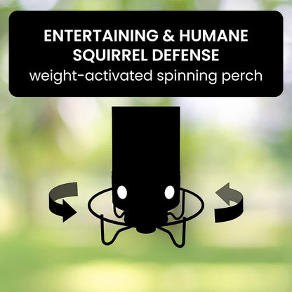 Davy | Squirrel Proof Bird Feeder with Multiple Feeding Ports
