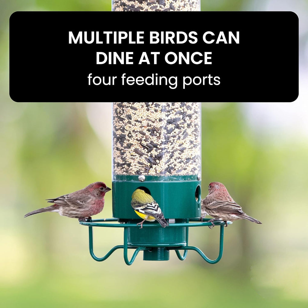 Davy | Squirrel Proof Bird Feeder with Multiple Feeding Ports