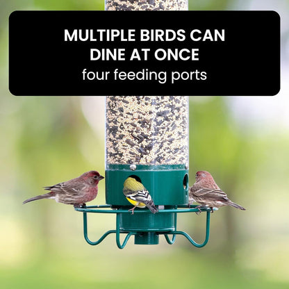 Davy | Squirrel Proof Bird Feeder with Multiple Feeding Ports
