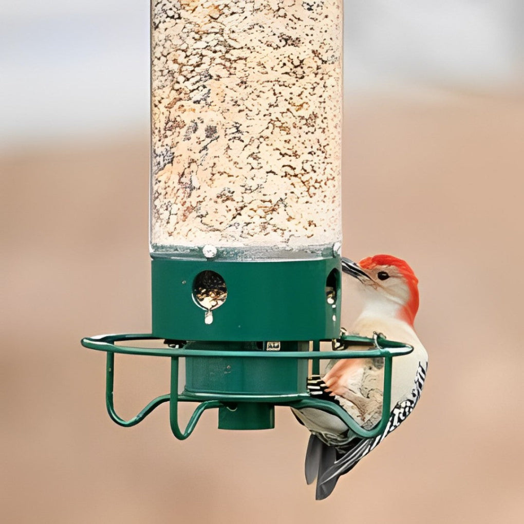 Davy | Squirrel Proof Bird Feeder with Multiple Feeding Ports