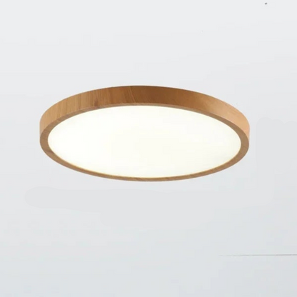 Davy | Thin Circular Ceiling Light | Adjustable LED Light, Modern | Living Room & Bedroom
