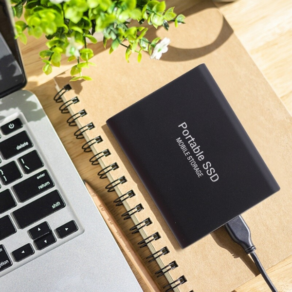 Davy | UltraVault | Lightning Fast & Reliable External SSD