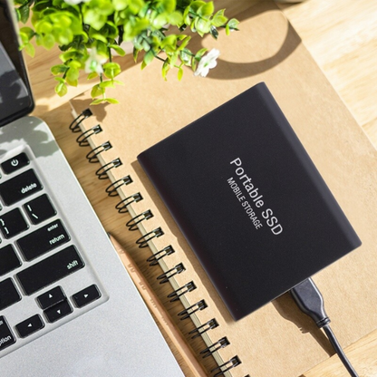 Davy | UltraVault | Lightning Fast & Reliable External SSD