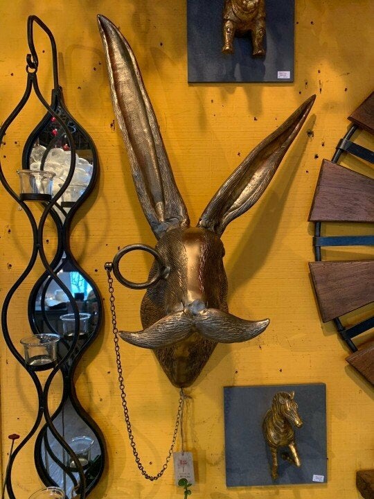 Davy | Quirky Animal Head Wall Sculptures for Decor