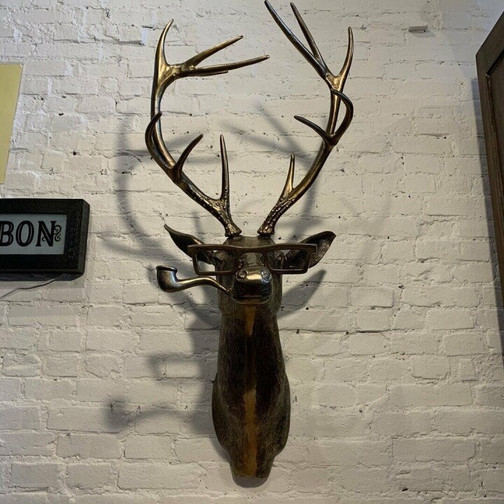 Davy | Quirky Animal Head Wall Sculptures for Decor