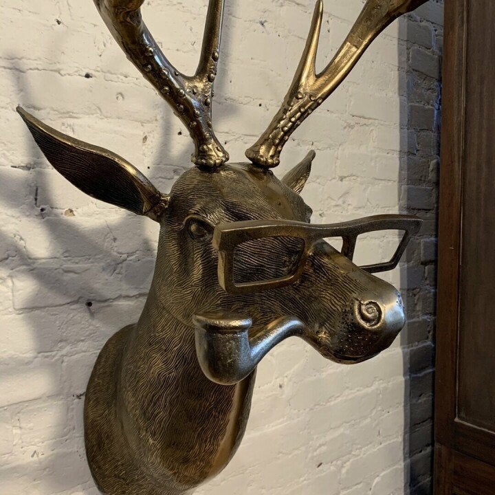 Davy | Quirky Animal Head Wall Sculptures for Decor