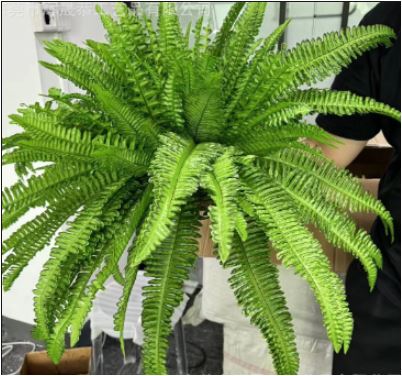 Davy | UV Resistant Lifelike Artificial Boston Fern