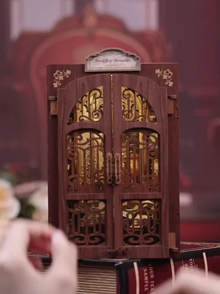 Miniature Owl Book Nook - 3D Wooden Craft Kit with Lights