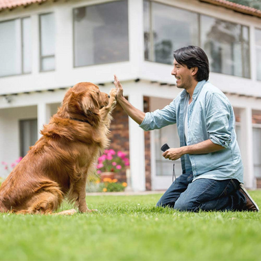Ultrasonic Dog Trainer & Bark Control Device