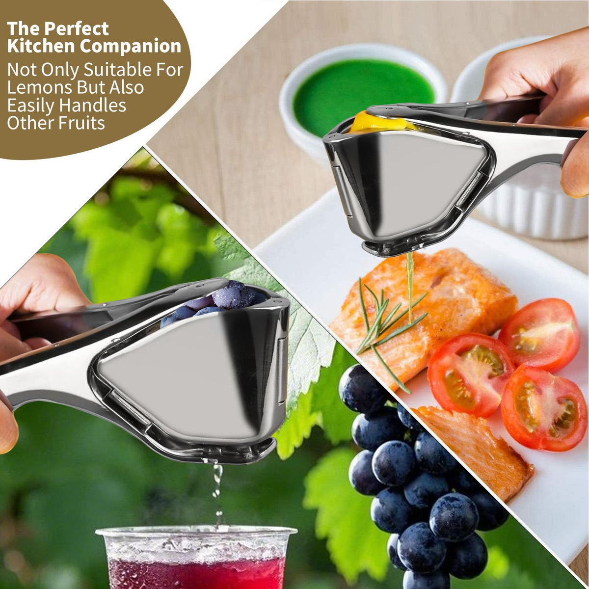 Citrus Squeezer | Stainless Steel or PP
