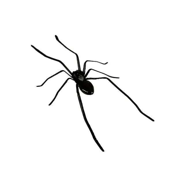 Spider Fridge MagnetRealistic Spider Magnets, for Refrigerator, Garage Door, or Car