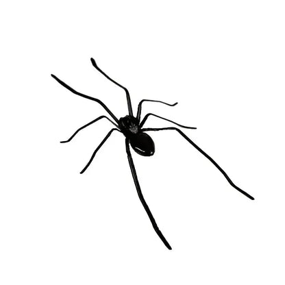 Spider Fridge MagnetRealistic Spider Magnets, for Refrigerator, Garage Door, or Car