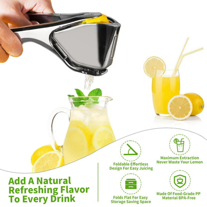 Citrus Squeezer | Stainless Steel or PP