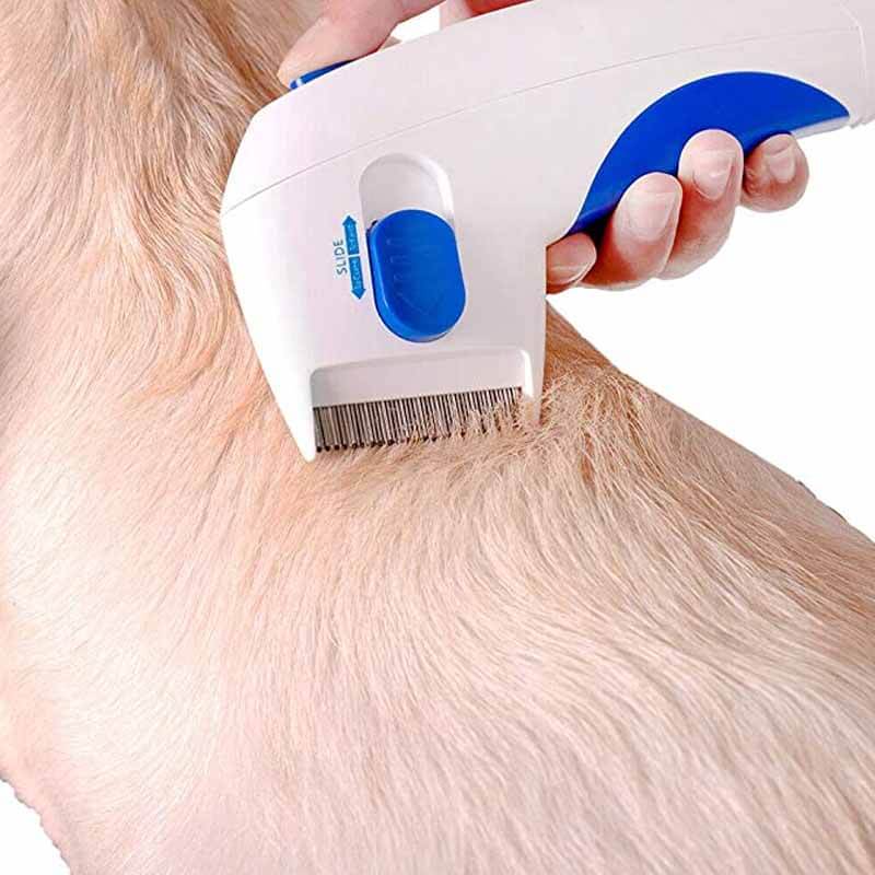 Electric Flea Eliminator for Pets – FleaZap