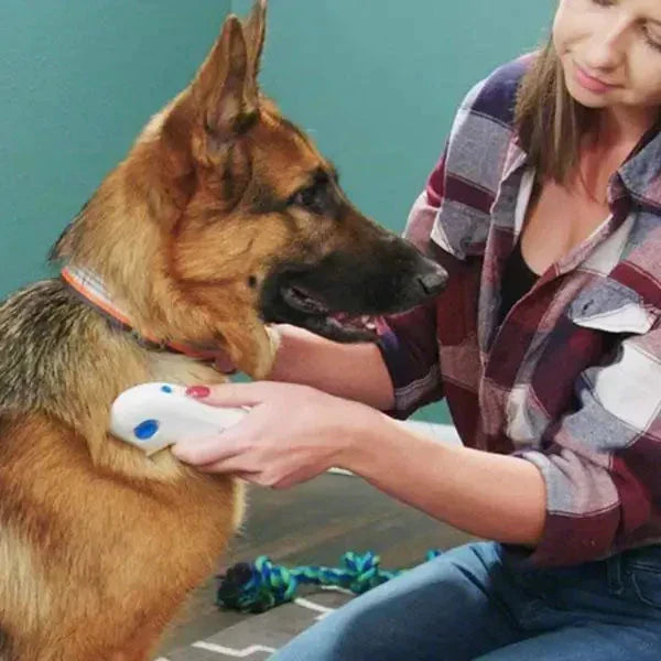 Electric Flea Eliminator for Pets – FleaZap