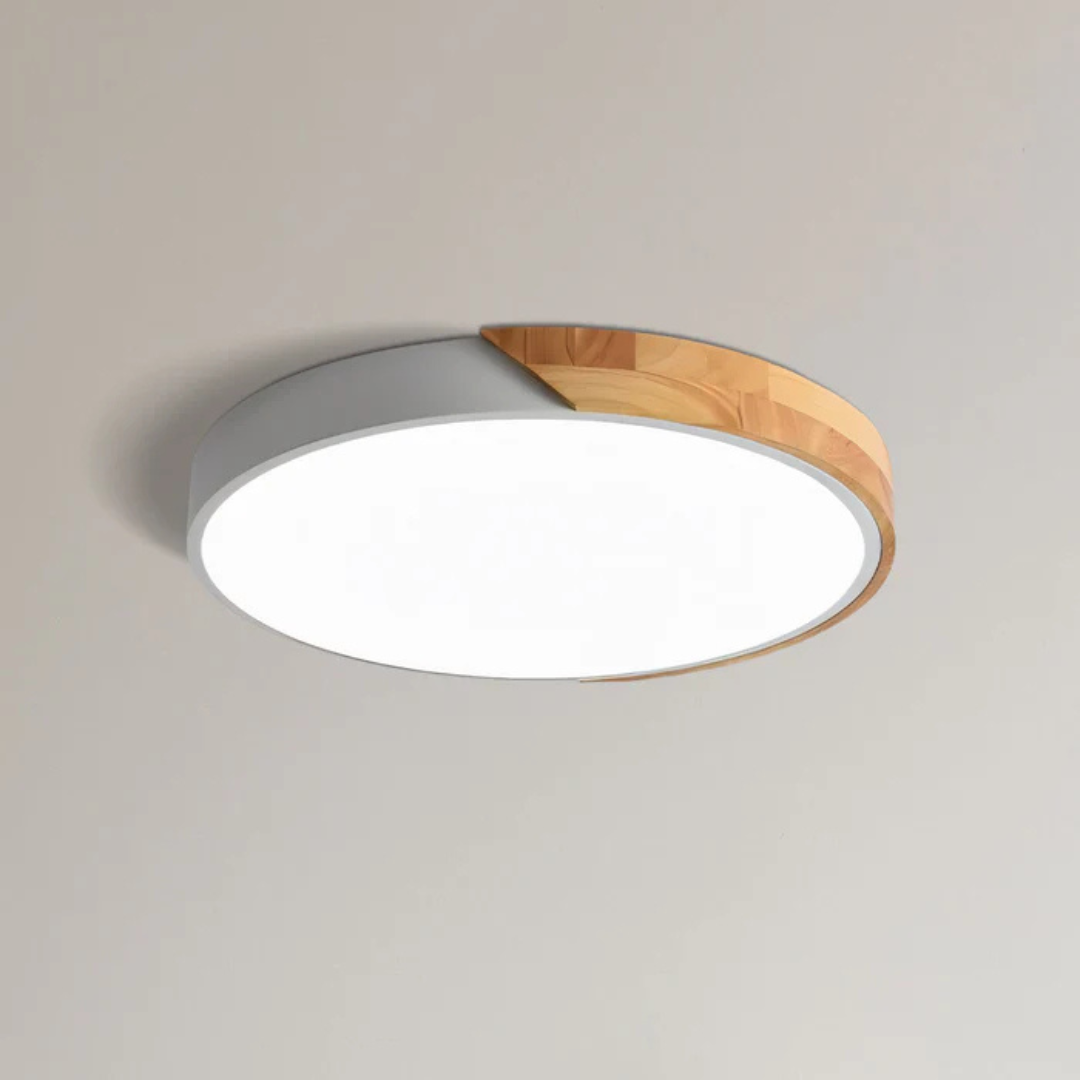 Elegant LED Ceiling Lamp in Scandinavian Style