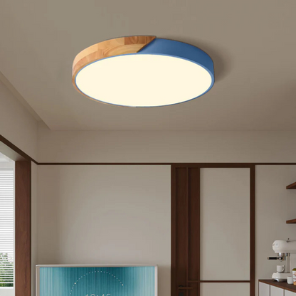 Elegant LED Ceiling Lamp in Scandinavian Style