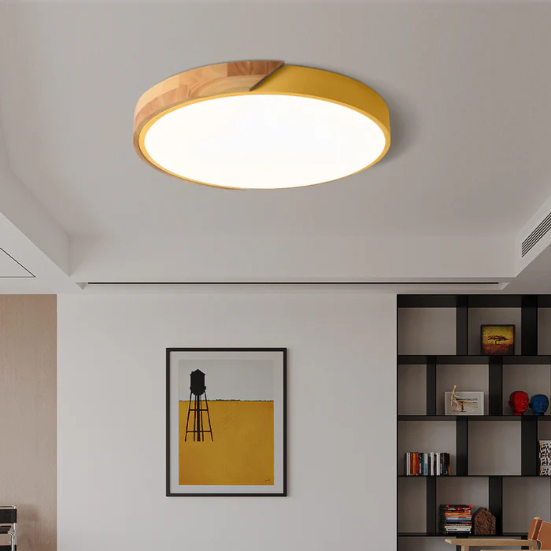 Elegant LED Ceiling Lamp in Scandinavian Style