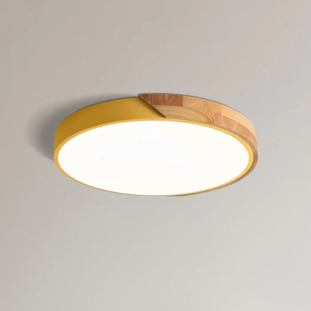 Elegant LED Ceiling Lamp in Scandinavian Style