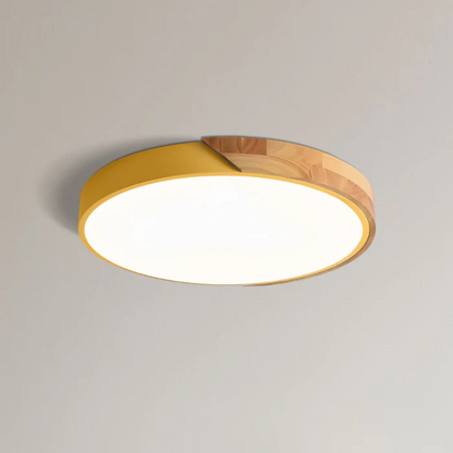 Elegant LED Ceiling Lamp in Scandinavian Style