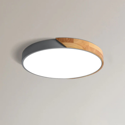 Elegant LED Ceiling Lamp in Scandinavian Style