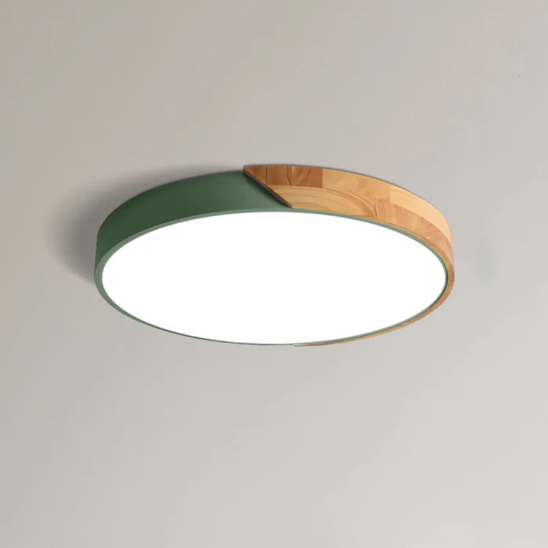 Elegant LED Ceiling Lamp in Scandinavian Style