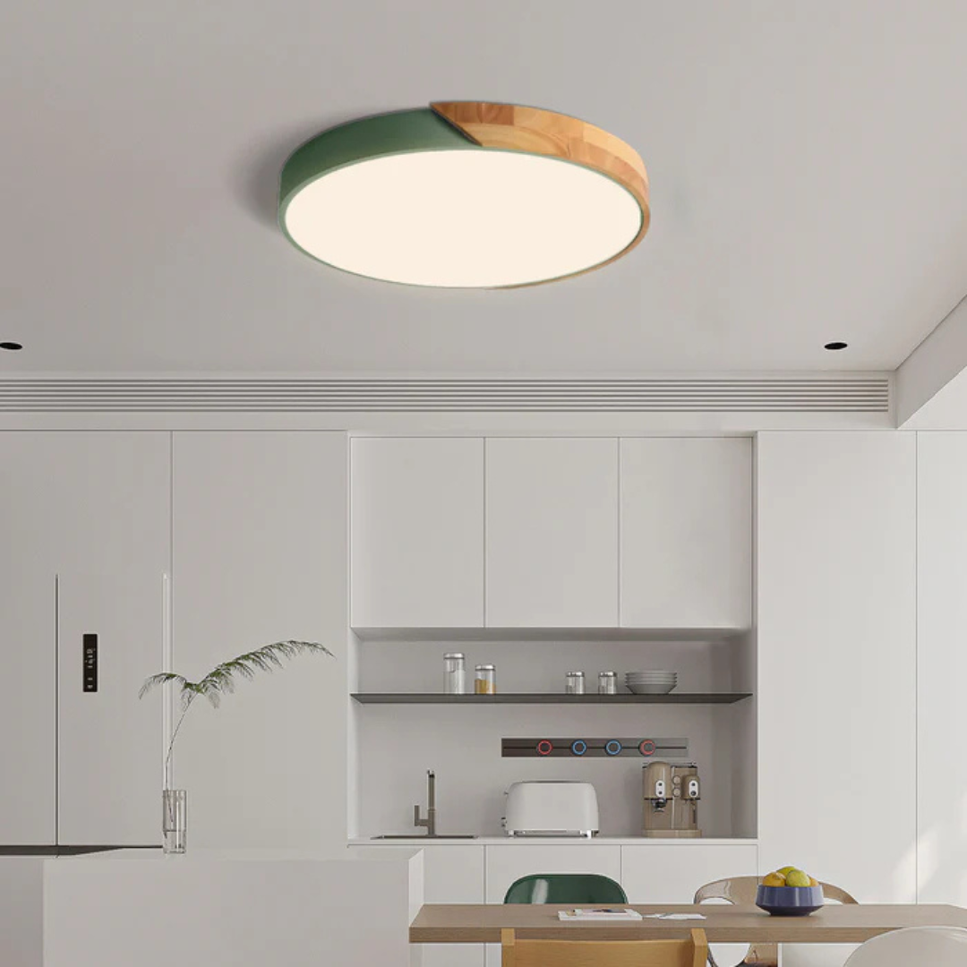 Elegant LED Ceiling Lamp in Scandinavian Style