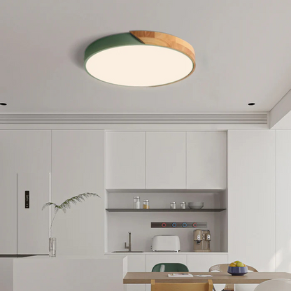Elegant LED Ceiling Lamp in Scandinavian Style
