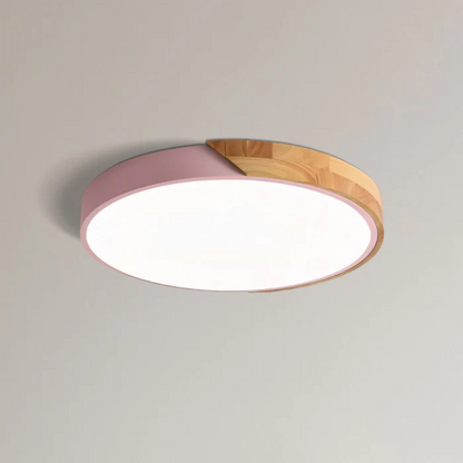 Elegant LED Ceiling Lamp in Scandinavian Style