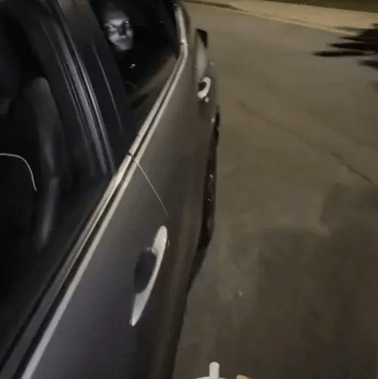 Passenger Prank Cover