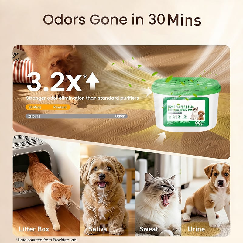 Home Pet Fur & Odor Removal Magic Box