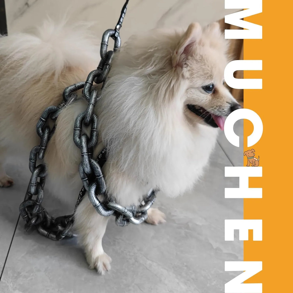 The Chain Paws - 2026 Funniest Pet Chain