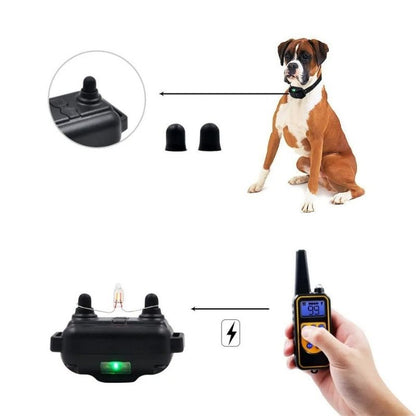 Waterproof Dog Training Collar for Hunters