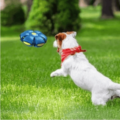 Transforming Flying Ball Toy for Dogs