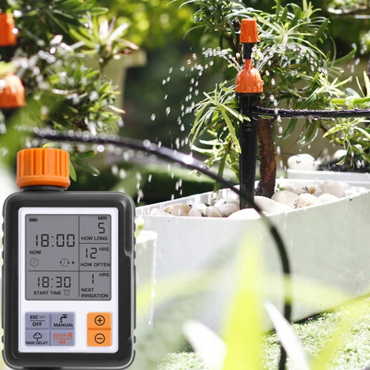 Irrigation System & Timer