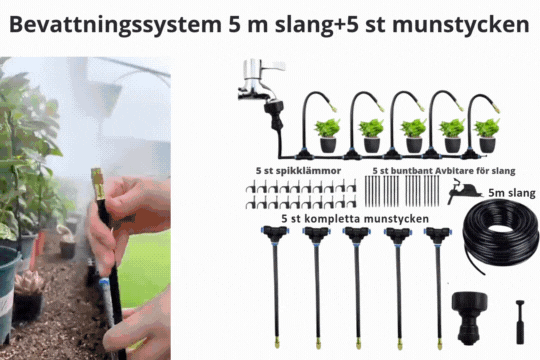 Irrigation System & Timer
