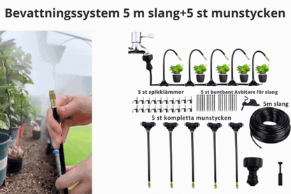 Irrigation System & Timer