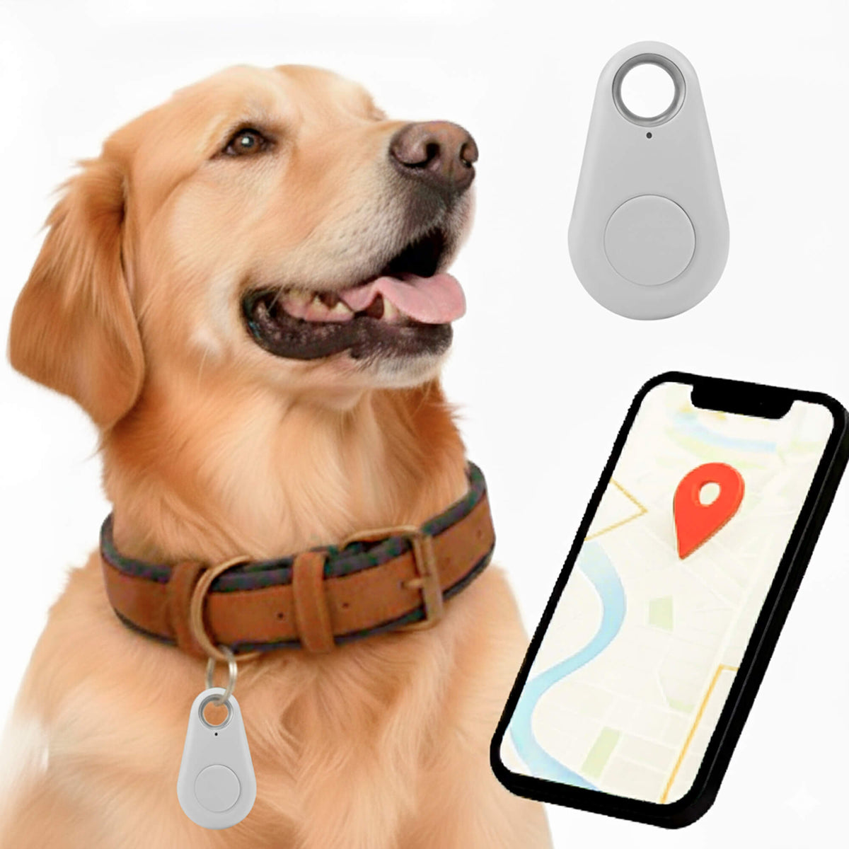 Kirra GPS Dog Tracker, Waterproof, Real-Time Alerts