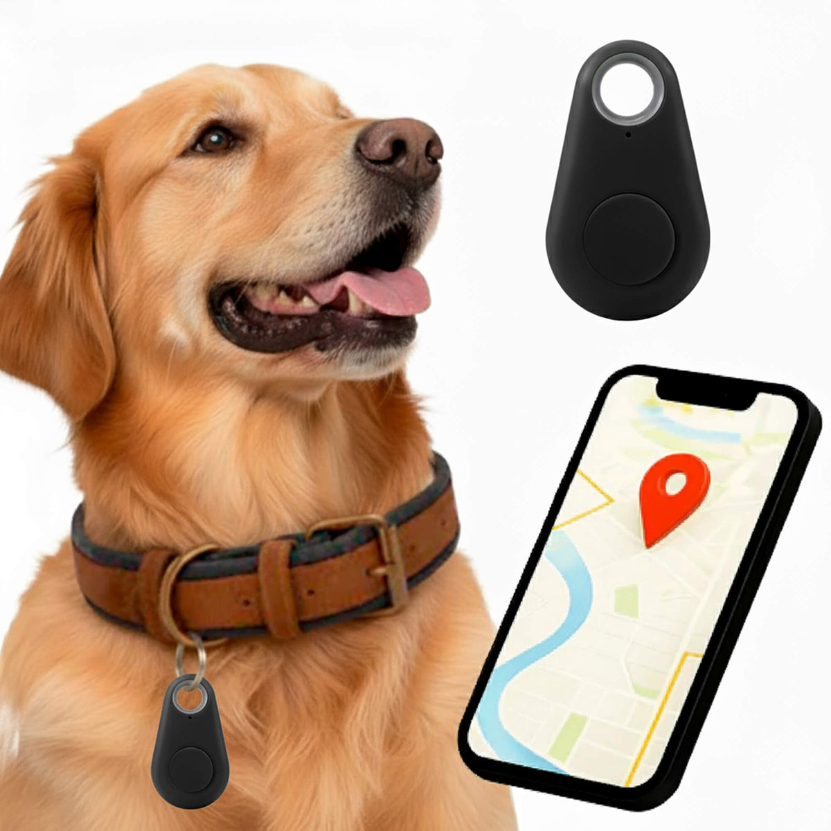 Kirra GPS Dog Tracker, Waterproof, Real-Time Alerts
