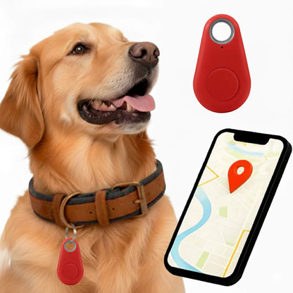 Kirra GPS Dog Tracker, Waterproof, Real-Time Alerts