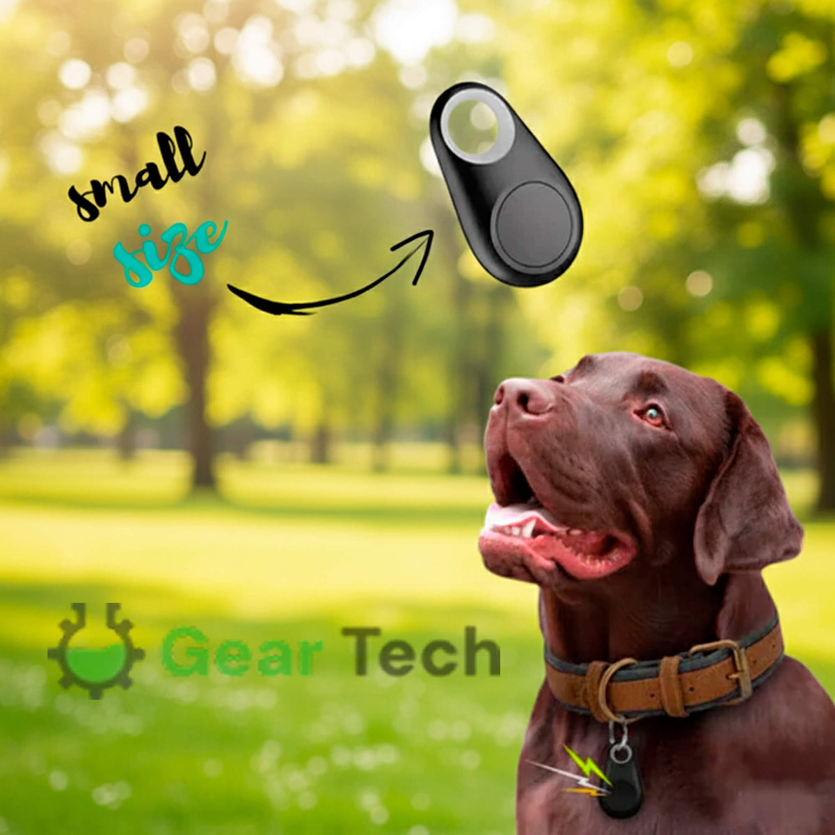 Kirra GPS Dog Tracker, Waterproof, Real-Time Alerts