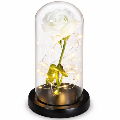 LED Eternal Rose