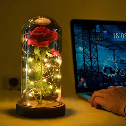 LED Eternal Rose