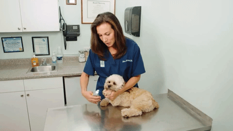 Dog Nail Trimmers with Safety Sensor Light