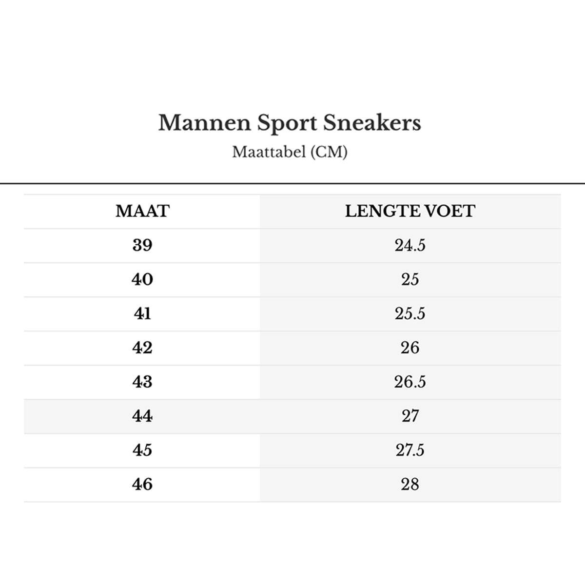 Men's Sport Sneakers