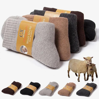 Premium Merino Wool Socks